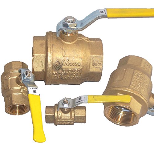 Stauff 2BVL Series 2 Way Ball Valve, 3/4" NPT Industrial