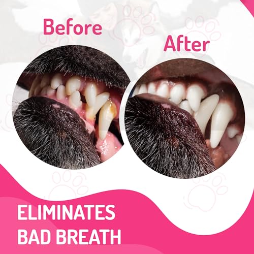 ROXXAM DOG MOUTHWASH: ADVANCED DENTAL CARE WATER ADDITIVE FOR DOGS | KEEP DOG BREATH FRESH AND TEETH CLEAN | SUPPORTS GUM HEALTH | ELIMINATES BAD BREATH, WHITENS TEETH, PREVENTS CAVITIES