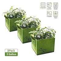 Cesun Square Grow Planter Bag Premium 400G Thickened Fabric Pots 3 Gallon Aeration Fabric Cube with X Stitching Reinforced Handles (3 Gal Green Cube)