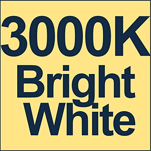 Explux 250W Equivalent LED PAR38 Flood Light Bulbs, Weatherproof, 2600 Lumens, Dimmable, 3000K Bright White, 2-Pack
