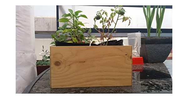 MERCANATURA Mini HUERTO Urbano: Amazon.es: Jardín