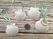 White Scallop Seashell Christmas Ornaments (Set of 10)