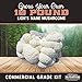 Grow Your Own Lion’s Mane Mushroom Kit – 10lb Commercial Grade Kit – Fully Colonizedthumb 4