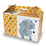 Cosmic Pet Shuttle Cardboard Carrier