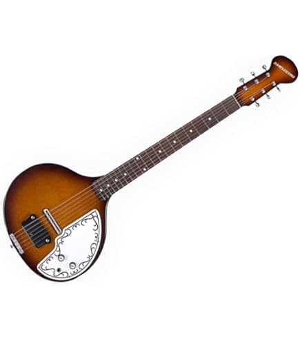 Amazon.com: Danelectro Baby Sitar - Red Crackle : Musical Instruments