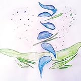 ITERATIONS                                         image