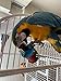 Barrel Bird Foraging Toy | Interactive Treat Dispenser | Promotes Natural Foraging Behavior | Bird Cage Accessories for Medium to Extra Large Birds | Colorful Toys for Parrots, Cockatiel, Cockatoos