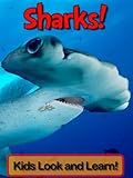Sharks! Learn About Sharks and Enjoy Colorful Pictures - Look and Learn! (50+ Photos of Sharks)