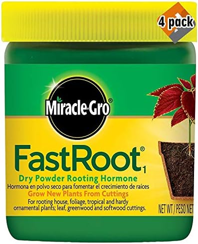 Miracle-Gro FastRoot Dry Powder Rooting Hormone Jar, 1-1/4-Ounce, 4 Pack