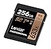 Lexar Professional 633x 256GB SDXC UHS-I Card, Up To 95MB/s Read, for Mid-Range DSLR, HD Camcorder, 3D Cameras, LSD256CBNL633 (Product Label May Vary)