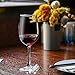 Luxtrip 18 pcs Wine Wine Tasting Party Decoration Supplies Gift Themed Wine Glass Charms Wine Lover and World Traveler Themes Wine Glass Charms Markers Drink Markers