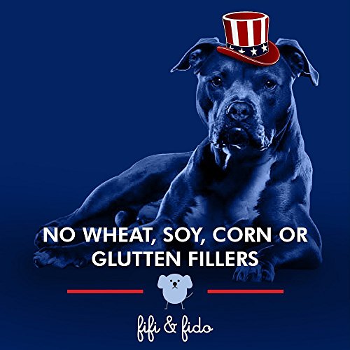 Fifi & Fido Gluten Grain-Free Beef Jerky Chew Sticks for Dog, 16 oz. Pet Supplies, Dogs, Treats, Jerky