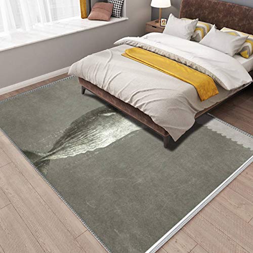 Violetatelier Home Area Rug, Revenge of The Whale Rugs for Living Room Bedroom Dining Room Playroom Sofa Indoor, 63x94 Inch