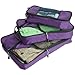 TravelWise Packing Cubes - 3 Piece Set (Purple)