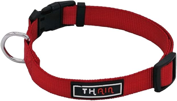 リスキーな 感謝している 里親 ペット 首輪 Cathysantonies Com