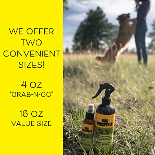 YAYA ORGANICS Dog Whisperer Tick + Flea Repellent, Proven Effective, All-Natural, Safe for Dogs and Their People (4 Ounce Spray) - Thumbnail 4