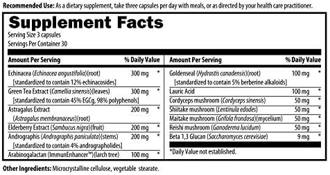 ImmunoSupport Complex | Echinacea + Elderberry Extract + Immune-Supportive Mushrooms Cordyceps, Shiitake, Maitake and Reishi | 90 Capsules |by Adaptogen Research Pharmaceutical Grade Supplements