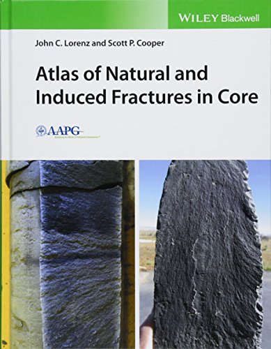Atlas of Natural Fractures and Coring-Induced Structures in Core Hardcover – 17 Nov. 2017