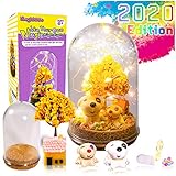 HeyKiddo Make Your Own Magic Night Light - Fairy