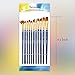 Dainayw Paint Brushes, Acrylic Paint Brush Set for Art Painting, Watercolor, Oil, Rock, Fabric, 12 Pieces