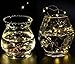 Fairy Lights Fairy String Lights Battery Operated Waterproof 8 Modes 66 LED 16.4ft String Lights Copper Wire Firefly Lights Remote Control for DIY Wedding Party Dinner (Warm White)