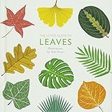 The Little Guide to Leaves by Tom Frost