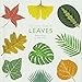 The Little Guide to Leaves by Tom Frost