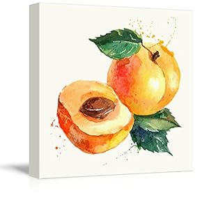 Square Canvas Wall Art - Apricot Watercolor | Fruits Watercolor Art and Illustrations - Giclee Print Gallery Wrap Modern Home Art Ready to Hang - 12x12 inches