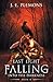 Last Light Falling: Into The Darkness: Book II by 
