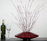 Green Floral Crafts 14 Inch Red Bamboo Zen Vase & DIY Floral Kit of Ivory Florets & Red Branches