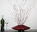 Green Floral Crafts 14 Inch Red Bamboo Zen Vase & DIY Floral Kit of Ivory Florets & Red Branches