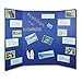 Flipside Products 36” x 48” Project Boards for Presentations, Science Fair, School Projects, Event Displays and Trifold Picture Board, Proudly Made in USA – Assorted Colors - 24 Pack