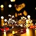 Brizled 12 Pack Battery Fairy Lights, 7.2ft 20 LED Fairy String Lights LED String Lights Silver Wire Lights Waterproof Starry Lights for Mothers Day, Bedroom, Wedding, Holiday, Decoration, Warm White