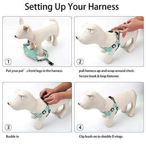 soft touch dog harness