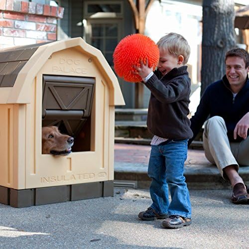 asl solutions insulated dog house palace dp20