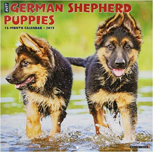 Just German Shepherd Puppies 2019 Wall Calendar (Dog Breed Calendar)