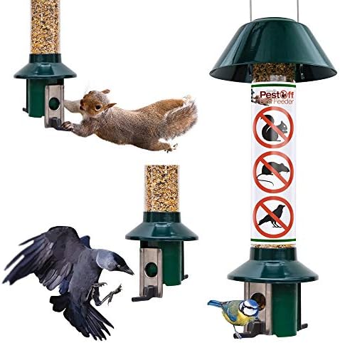 Squirrel Proof Wild Bird Feeder Roamwild Pestoff Mixed Seed