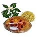 TSSPLUS Whitening Soap Osmanthus Flower Petals Herbal Essential Handmade Bath Face Body Washing Whitening Moisturizing Freckle Remover Aromatherapy Soap