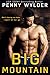 BIG MOUNTAIN: A Secret Baby Romance