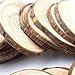 Natural Wood Slices 10 Pcs 4