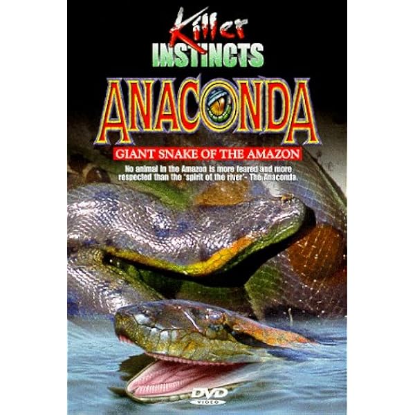 Amazon Com Killer Instincts Anaconda Giant Snake Of The Amazon Killer Instincts Movies Tv