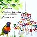 Petsvv Bird Parrot Toys for Medium Large African Grey Macaws Cockatoos Eclectus (13.78 Inch Long)