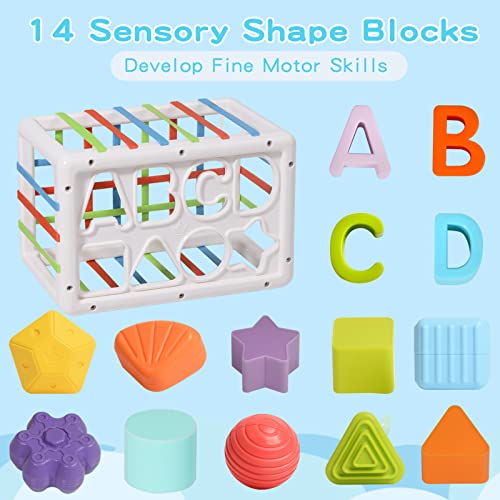 Baby Shape Sorting Toy, 2 in 1 Sensory Shape Bin with Colorful Elastic
