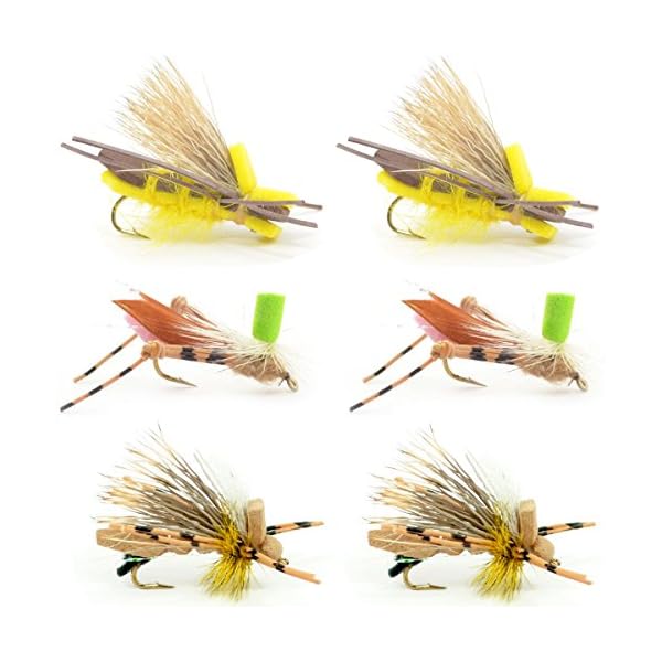 6-Foam-Body-Hopper-Grasshopper-Trout-Fly-Fishing-Flies-Assortment-6-Flies-3-Patterns-Hook-Size-10-Trout-Fly-Collection 6-Foam-Body-Hopper-Grasshopper-Trout-Fly-Fishing-Flies-Assortment-6-Flies-3-Patterns-Hook-Size-10-Trout-Fly-Collection