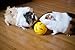 Wheeky Treat Ball Toy for Guinea Pigs, Rabbits, Hedgehogs and Other Small Pets, 7 cm, Yellow, Adjustable Opening Treat Toy New
