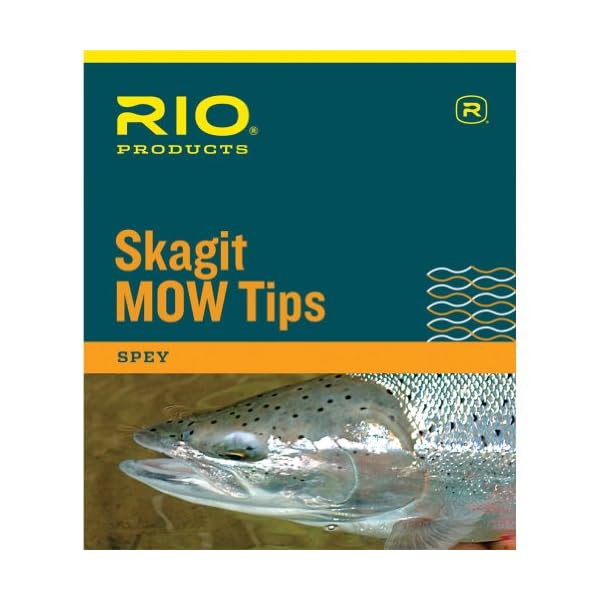 Rio-Skagit-MOW-Tips-Light-10-ft-T-8