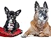 Polka Dot Disney Custom Personalized Pet ID Tag for Dog & Cats (Red & Black)