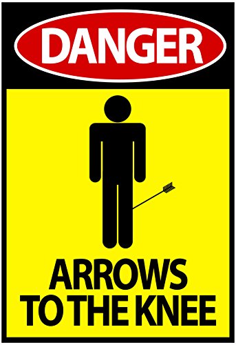Danger - Arrows To The Knee Video Game Poster 13 x 19in