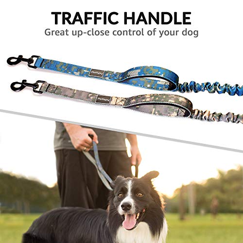 PetSpy Two Handle Dog Leash with Shock Absorbing - Improved Control & Training Bungee Pet Lead 4-6 ft (Green)