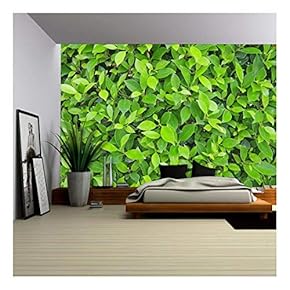 Green Leaves Wall Background - Removable Wall Mural | Self-Adhesive Large Wallpaper - 66x96 inches